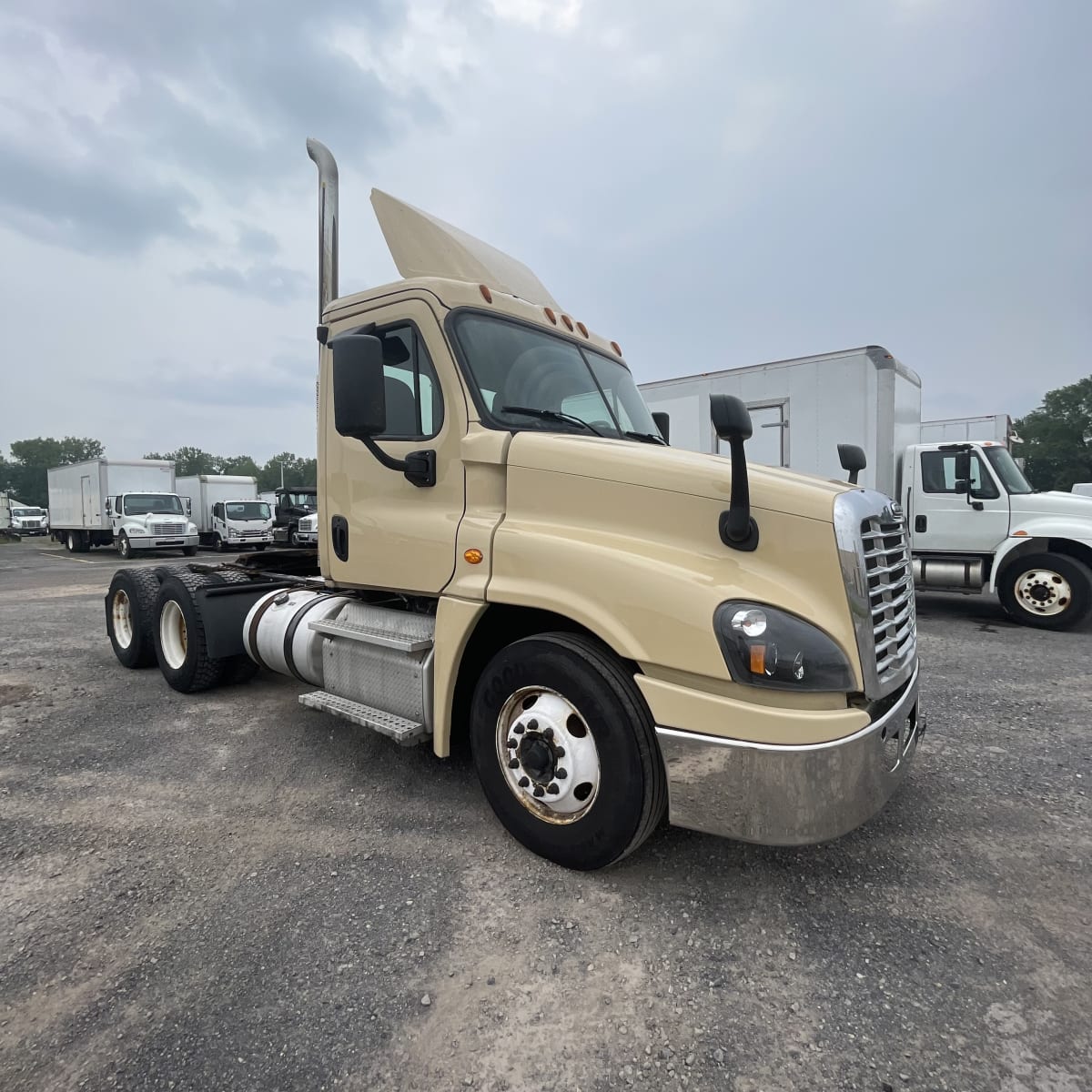 2019 Freightliner/Mercedes CASCADIA 125 808301