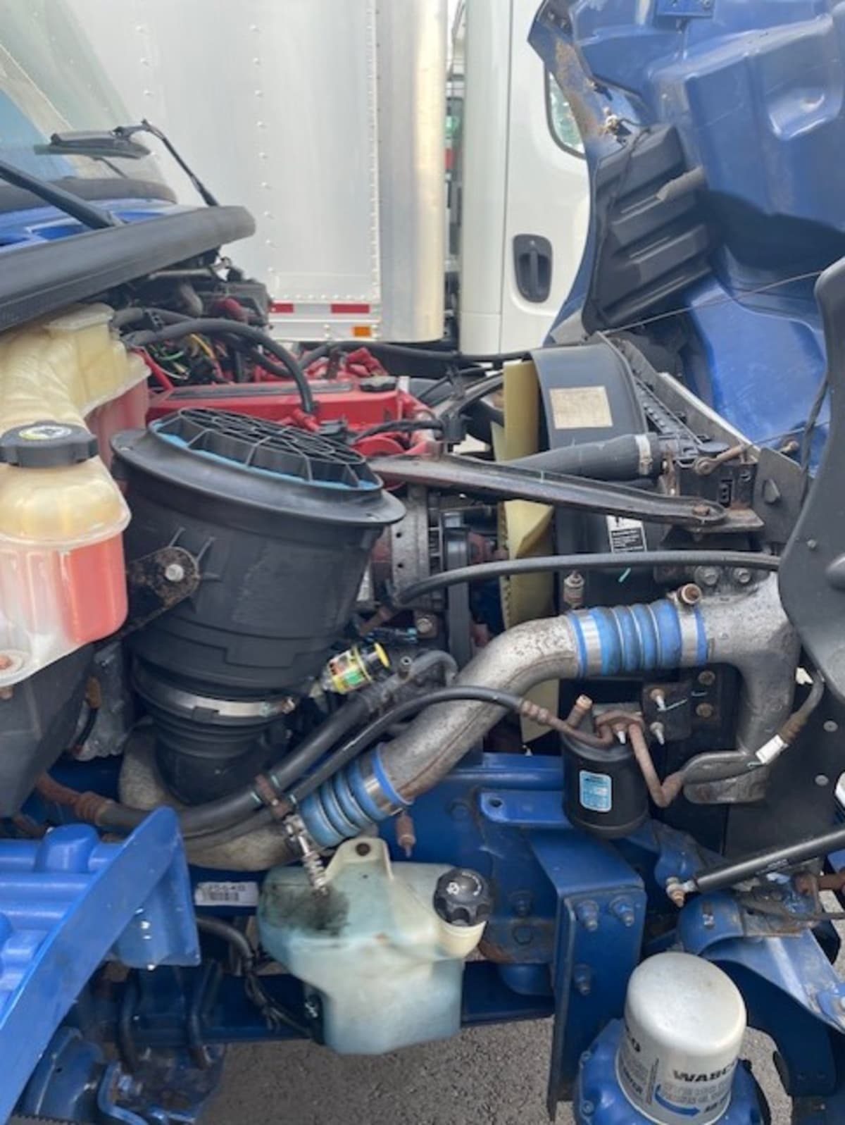 2019 Freightliner/Mercedes M2 106 808453