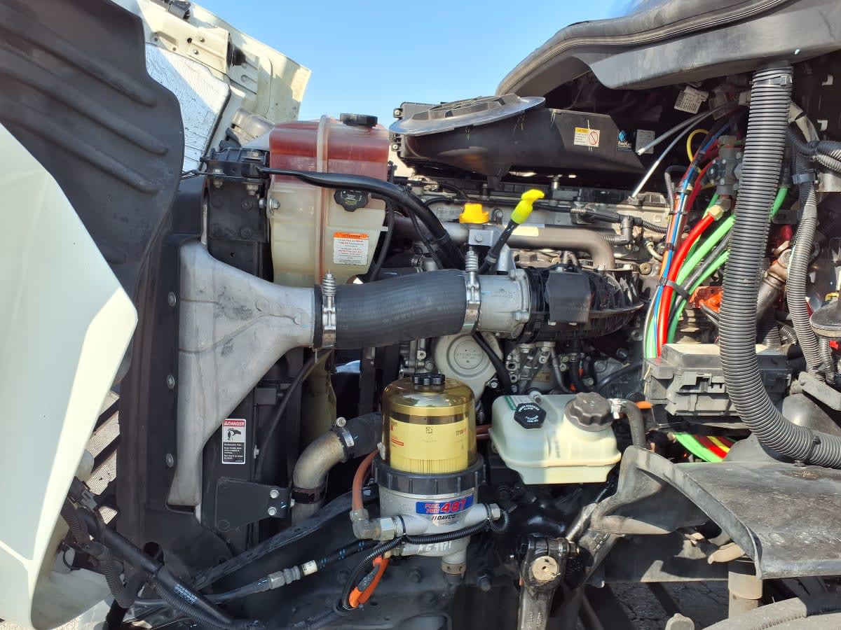 2019 Freightliner CASCADIA 113 808628