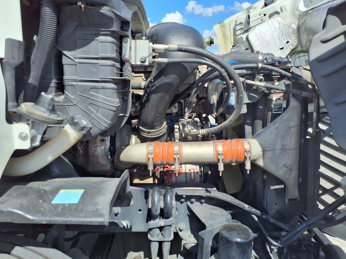 2019 Freightliner/Mercedes CASCADIA 113 808637