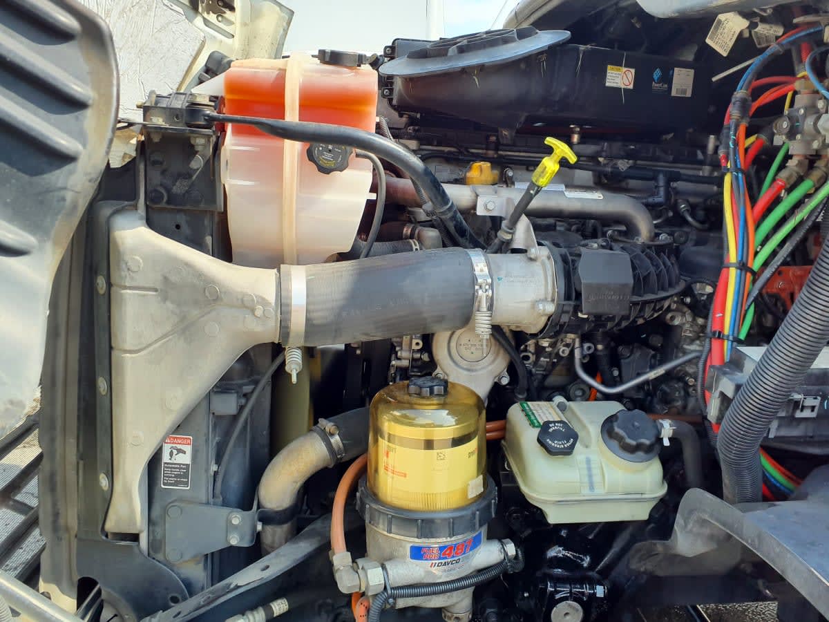 2019 Freightliner - image 8