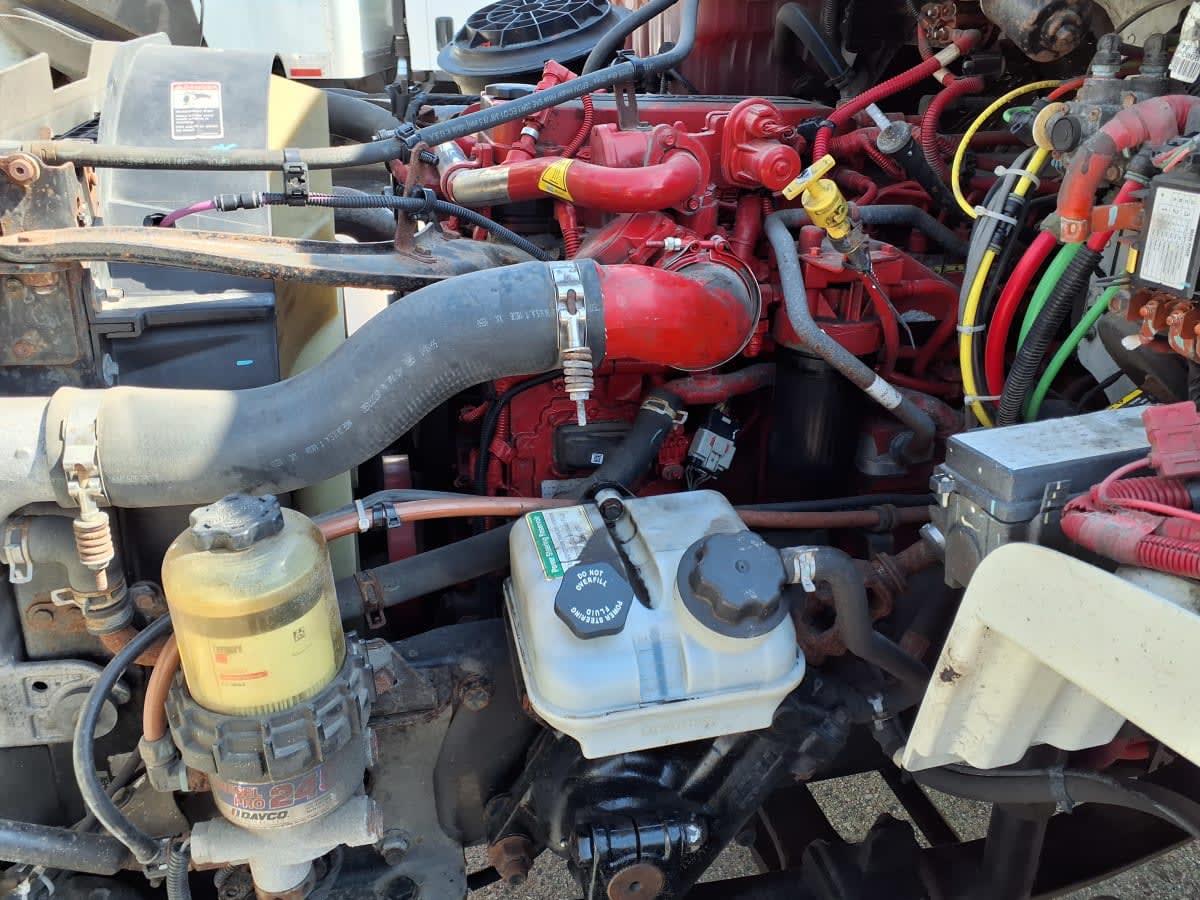 2019 Freightliner/Mercedes M2 106 808698