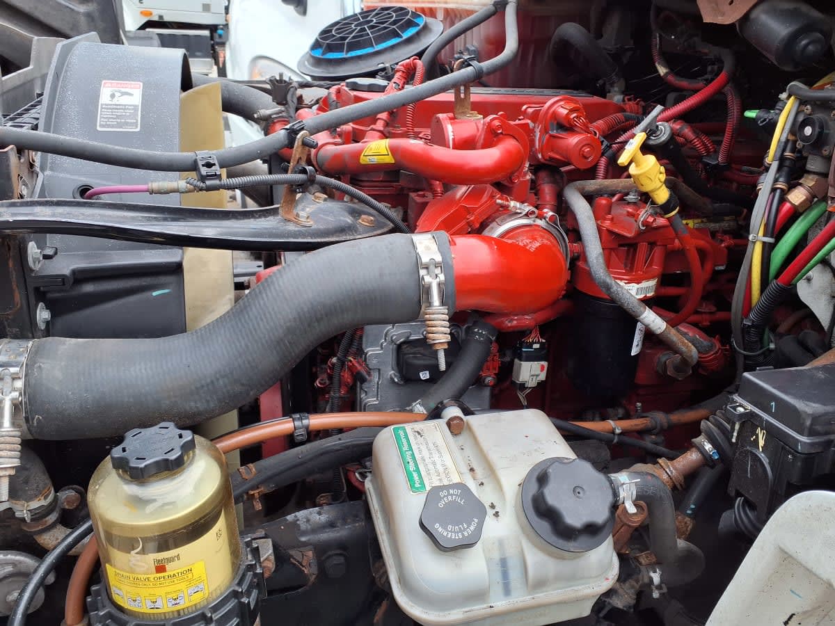 2019 Freightliner/Mercedes M2 106 808699