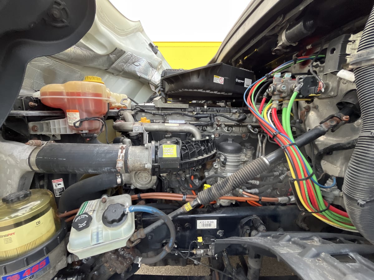 2019 Freightliner/Mercedes NEW CASCADIA PX12664 808716