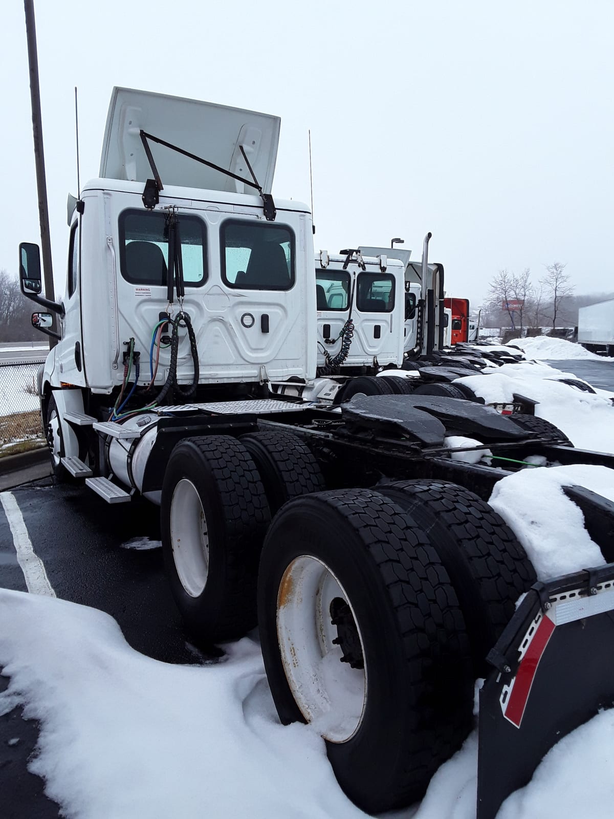 2019 Freightliner/Mercedes NEW CASCADIA PX12664 808742