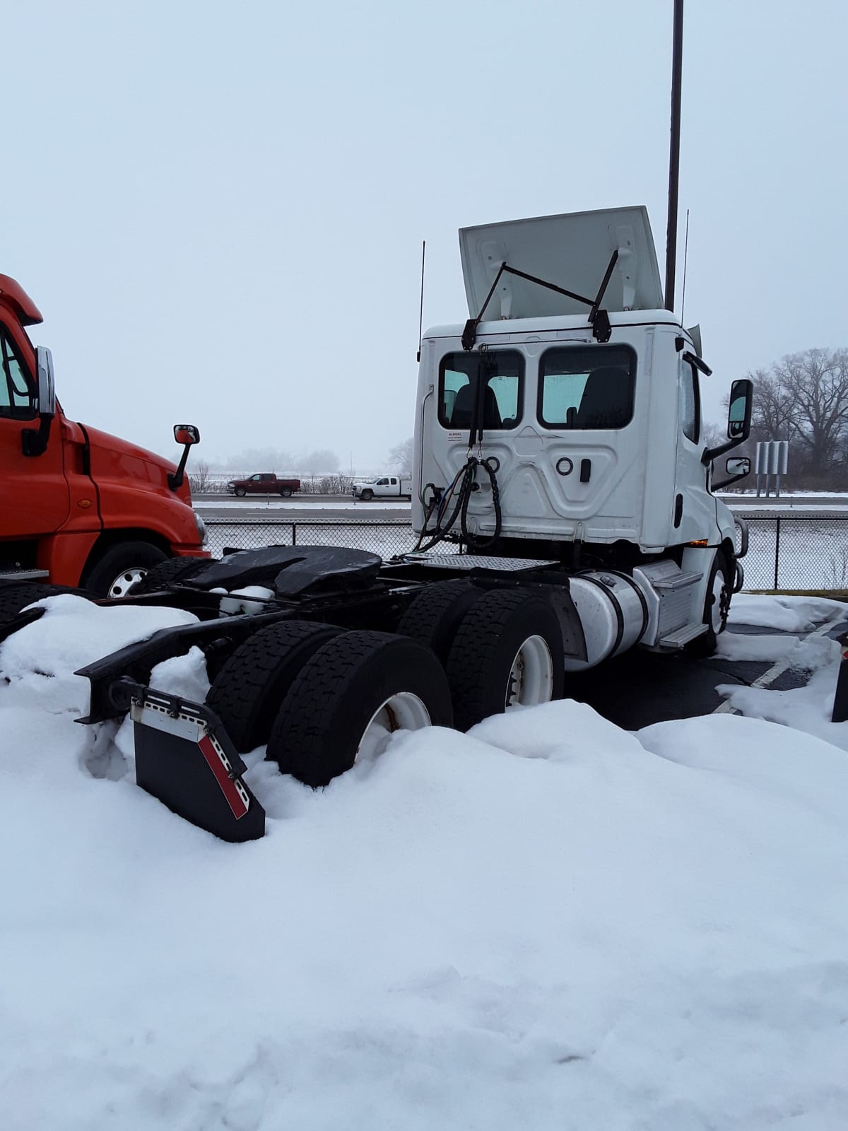 2019 Freightliner/Mercedes NEW CASCADIA PX12664 808742