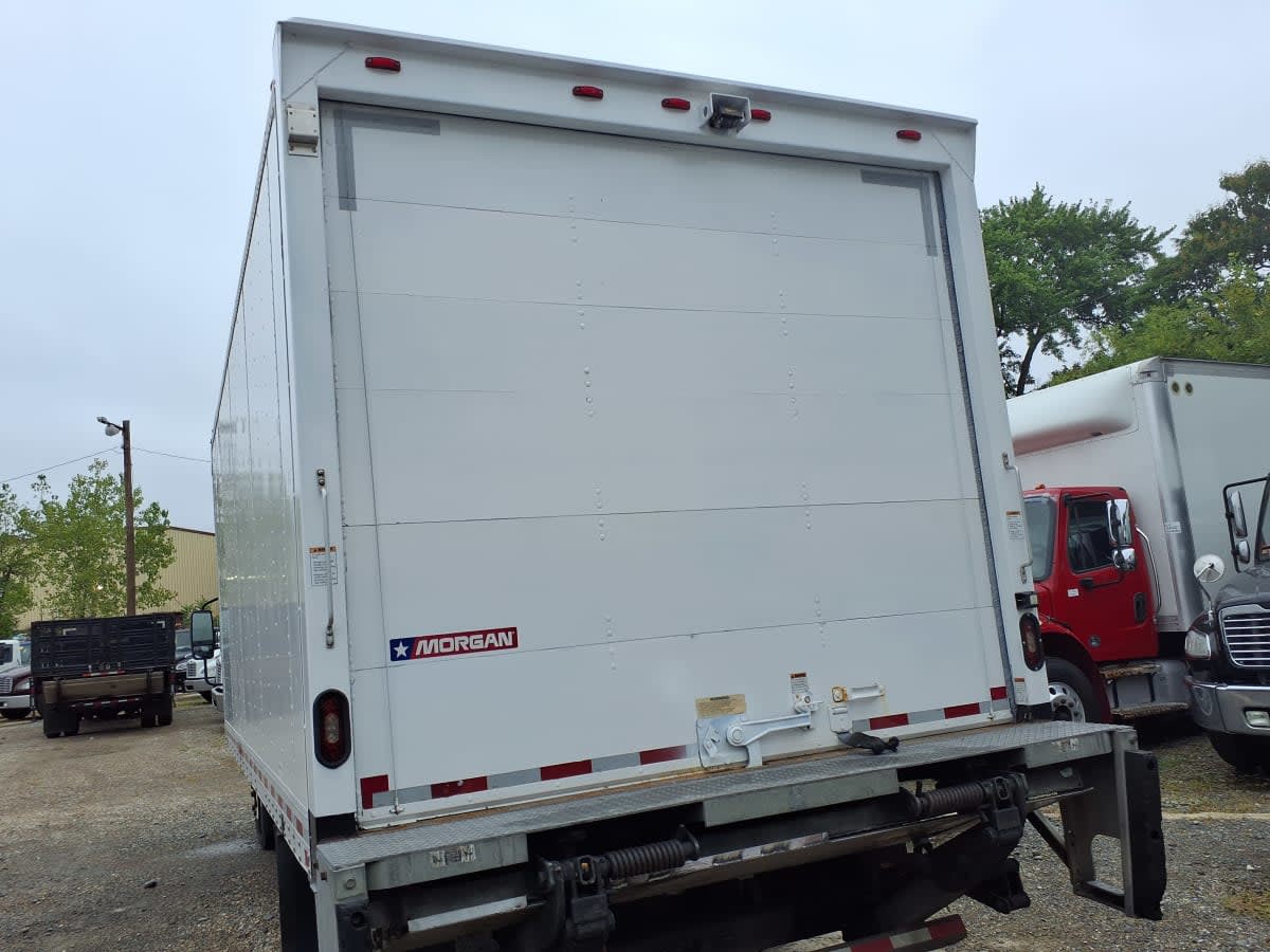 2019 Isuzu NQR 808896