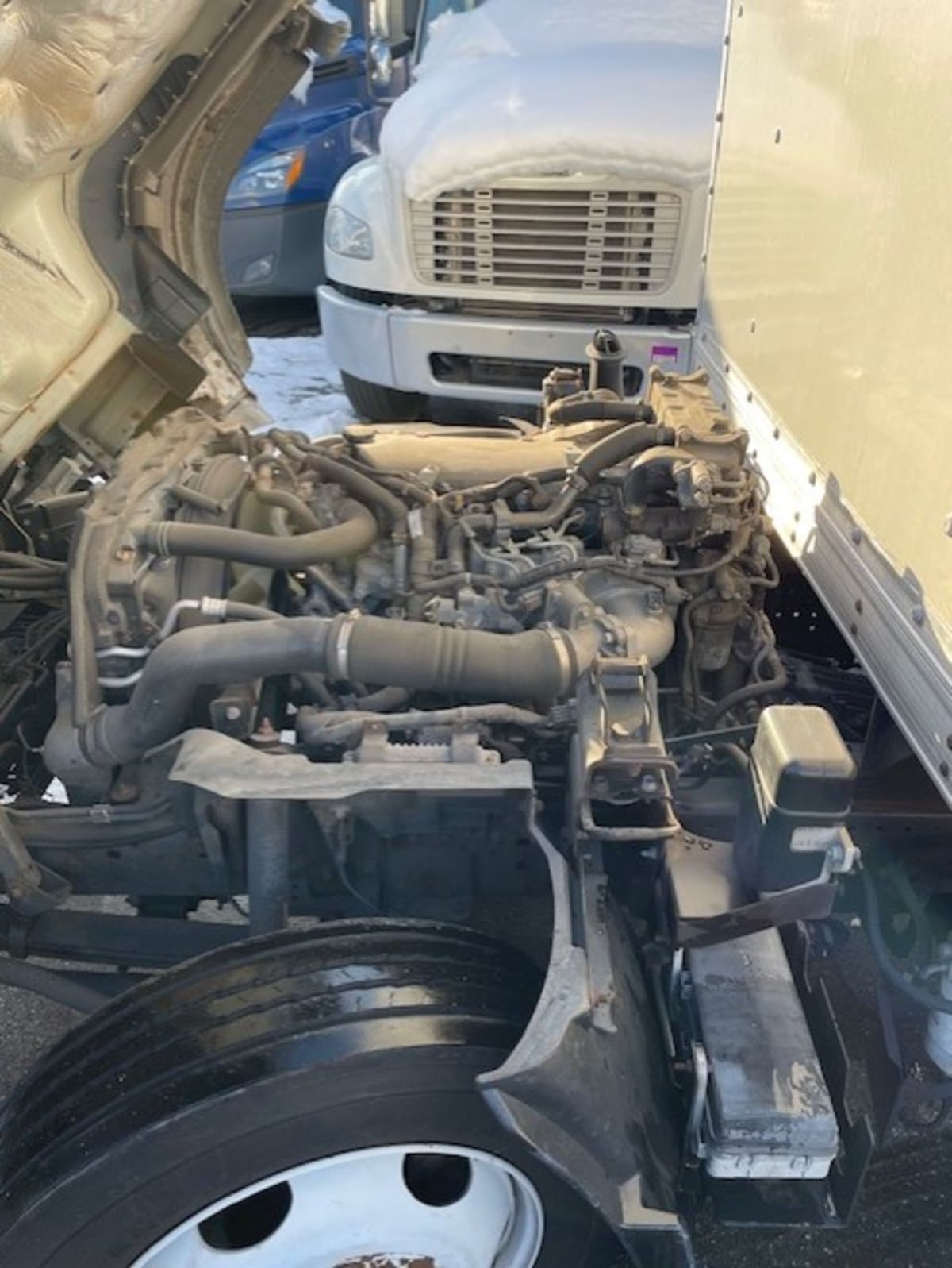 2019 Isuzu NQR 808918