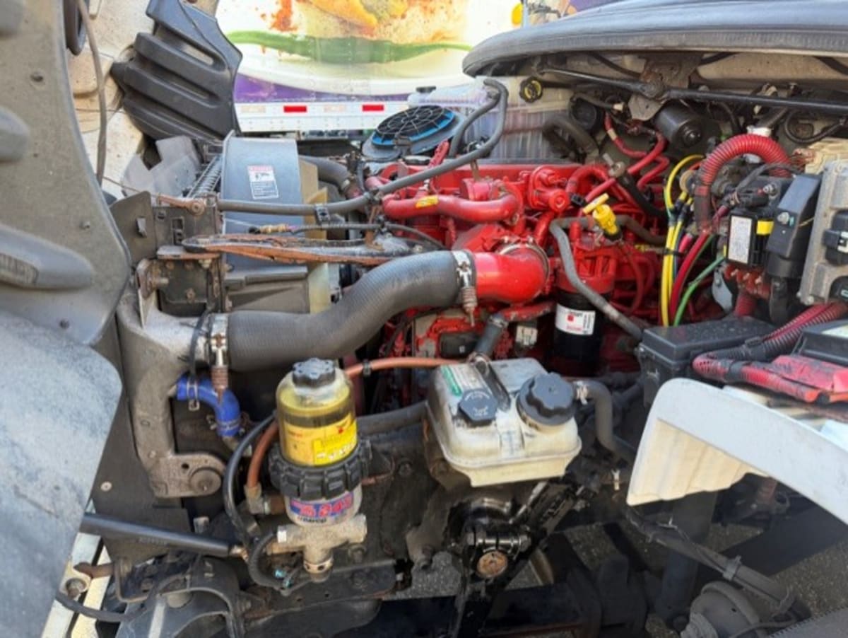 2019 Freightliner/Mercedes M2 106 808921 2019 Freightliner/Mercedes M2 106 808921