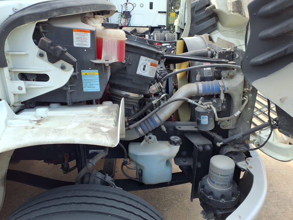 2019 Freightliner/Mercedes M2 106 809017