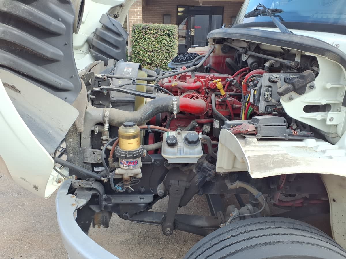 2019 Freightliner/Mercedes M2 106 809017