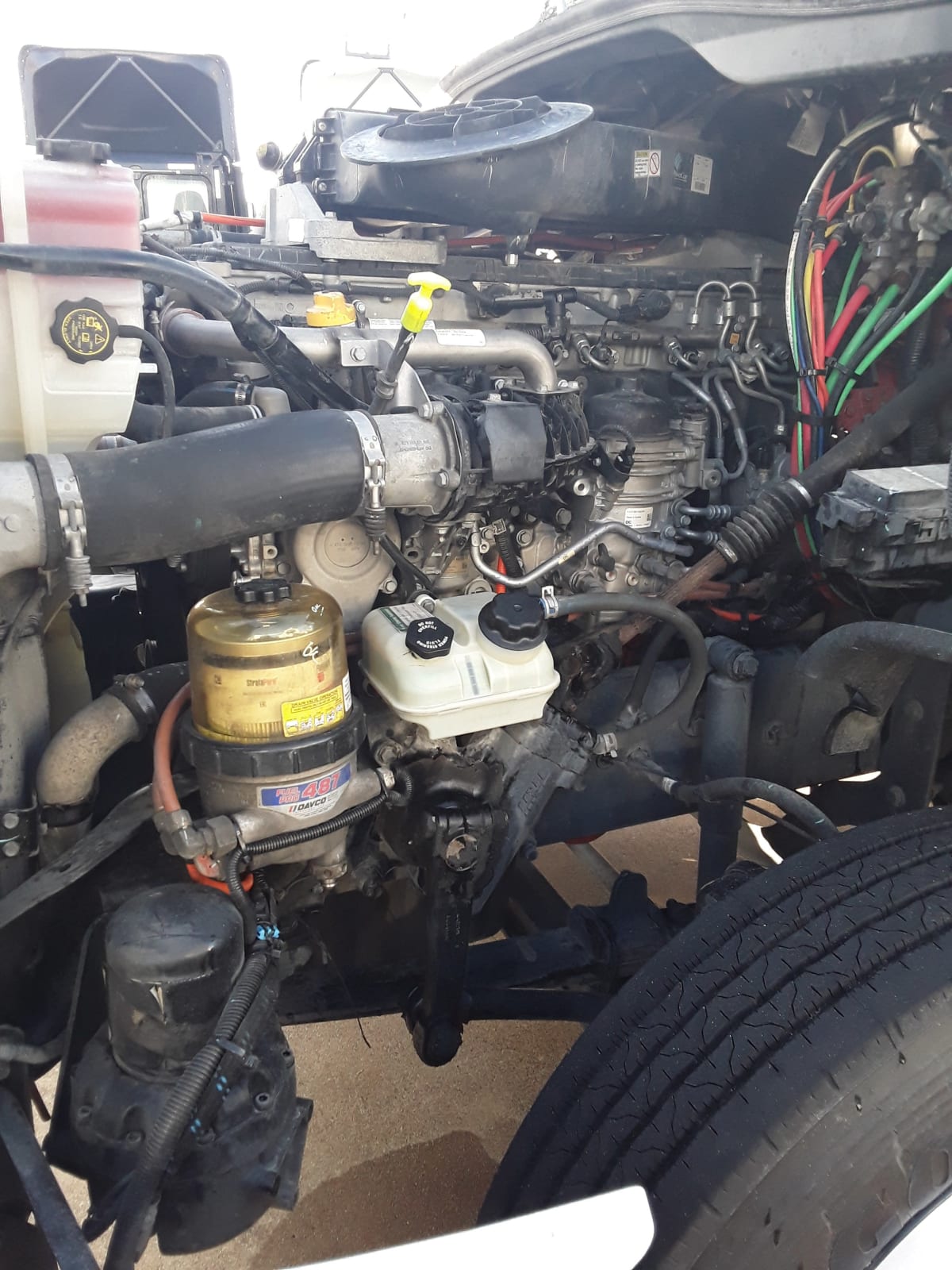 2019 Freightliner/Mercedes CASCADIA 125 809084