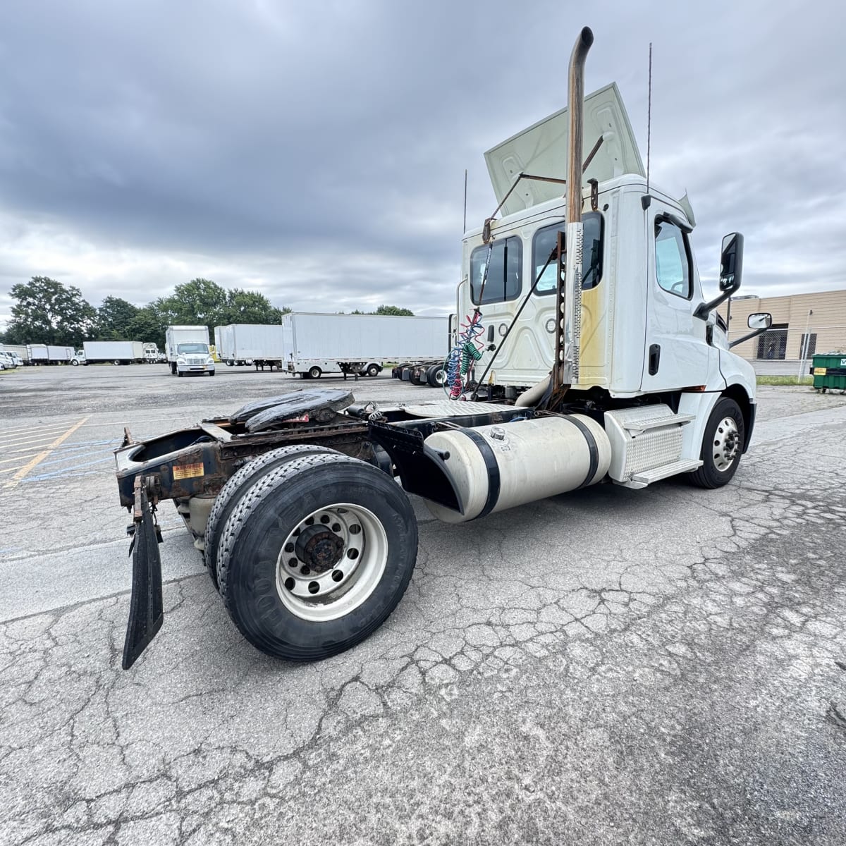 2019 Freightliner/Mercedes NEW CASCADIA 126 809173