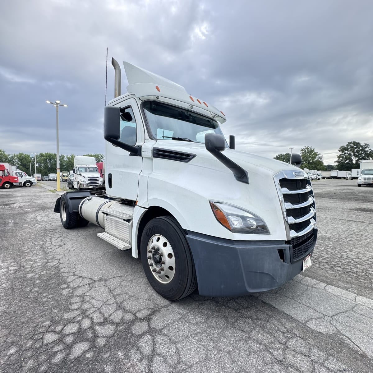 2019 Freightliner/Mercedes NEW CASCADIA 126 809173