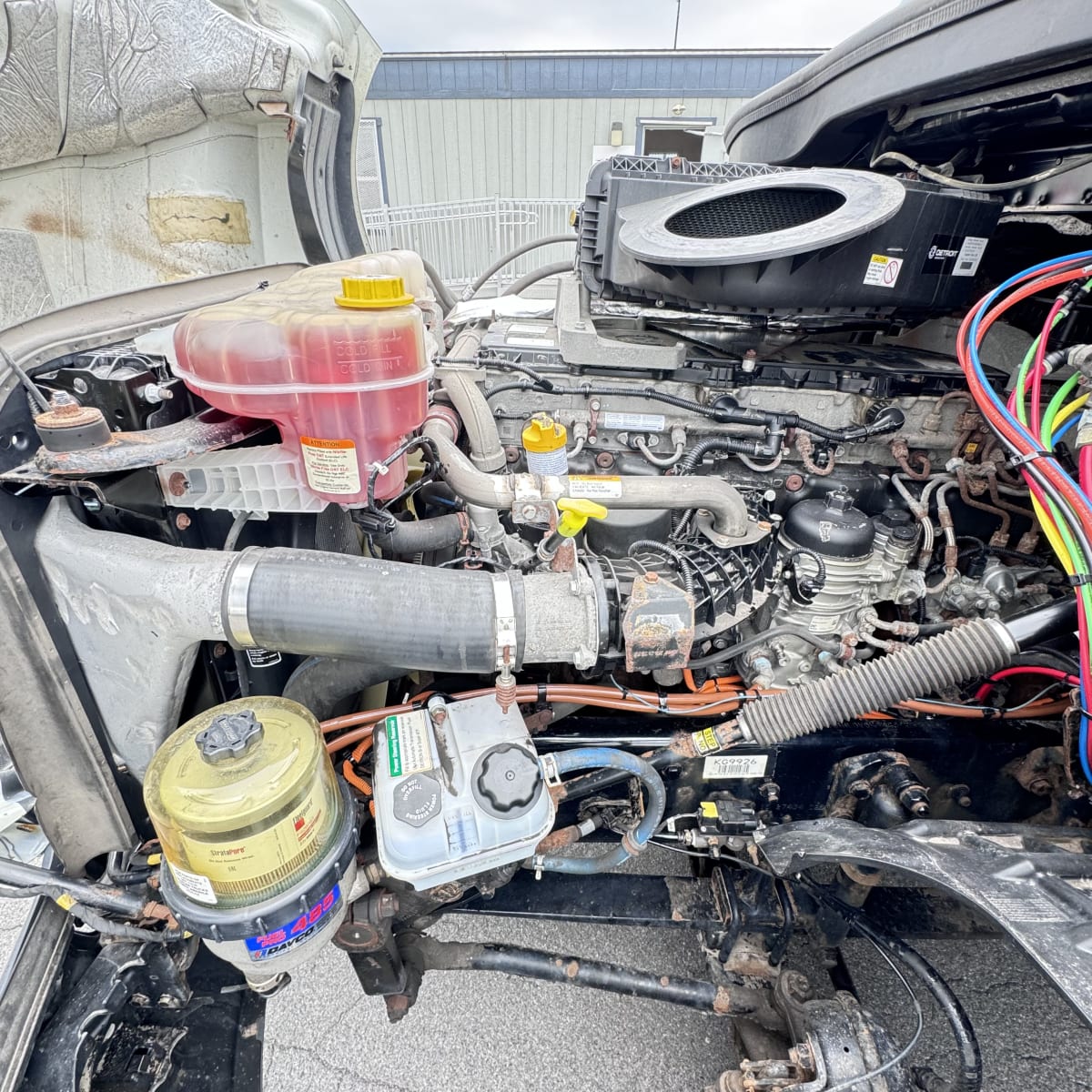 2019 Freightliner/Mercedes NEW CASCADIA 126 809173