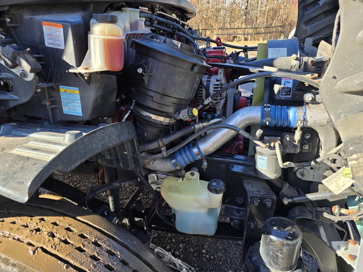 2019 Freightliner/Mercedes M2 106 809326