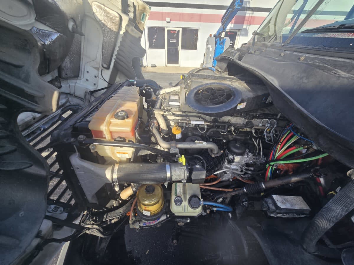 2019 Freightliner - image 8