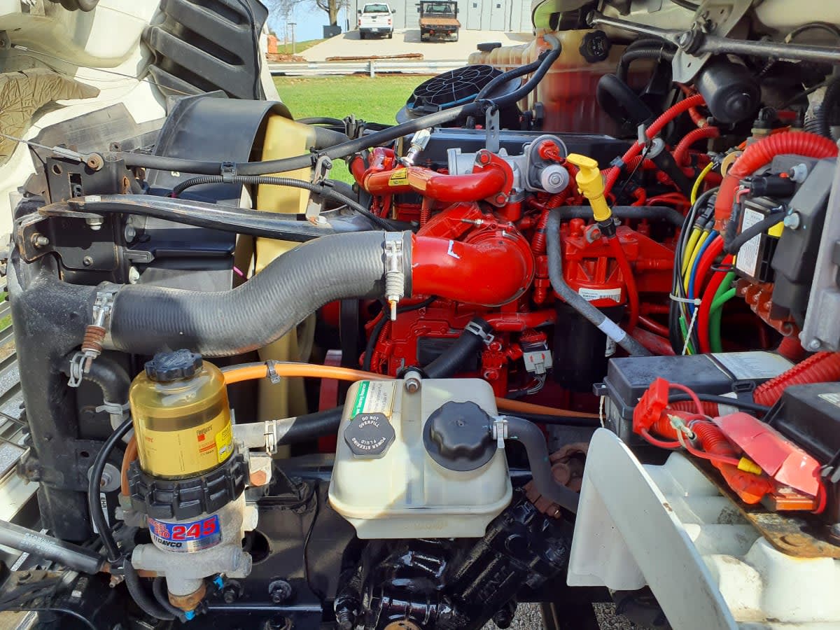 2019 Freightliner/Mercedes M2 106 809361