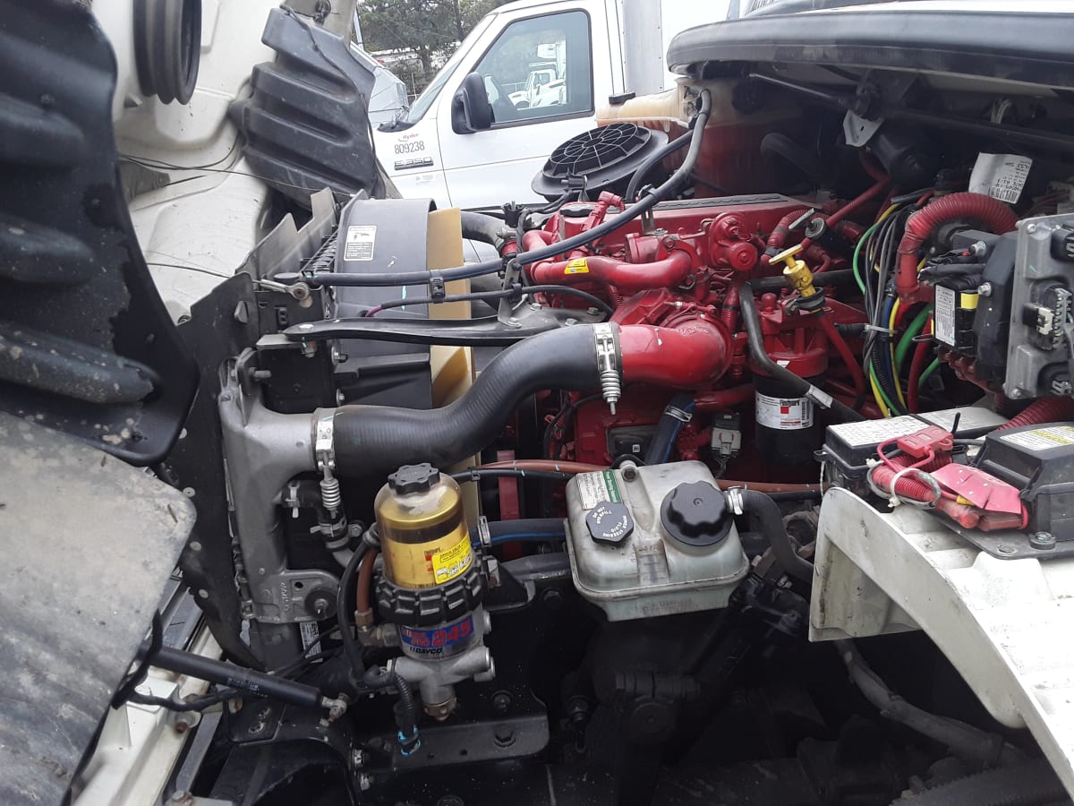 2019 Freightliner/Mercedes M2 106 809363