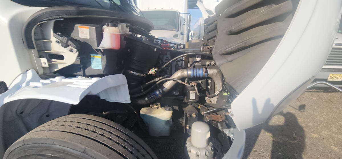 2019 Freightliner/Mercedes M2 106 809460