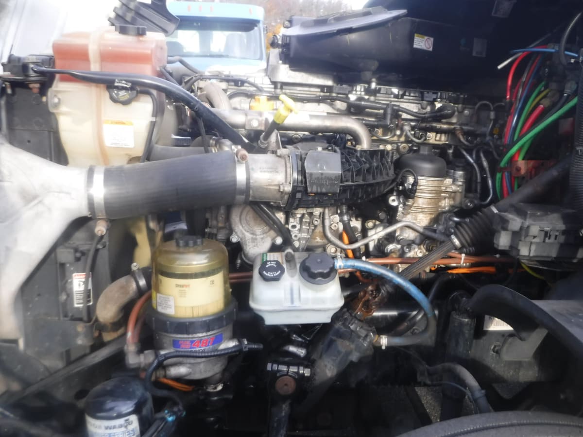 2019 Freightliner/Mercedes CASCADIA 125 809554