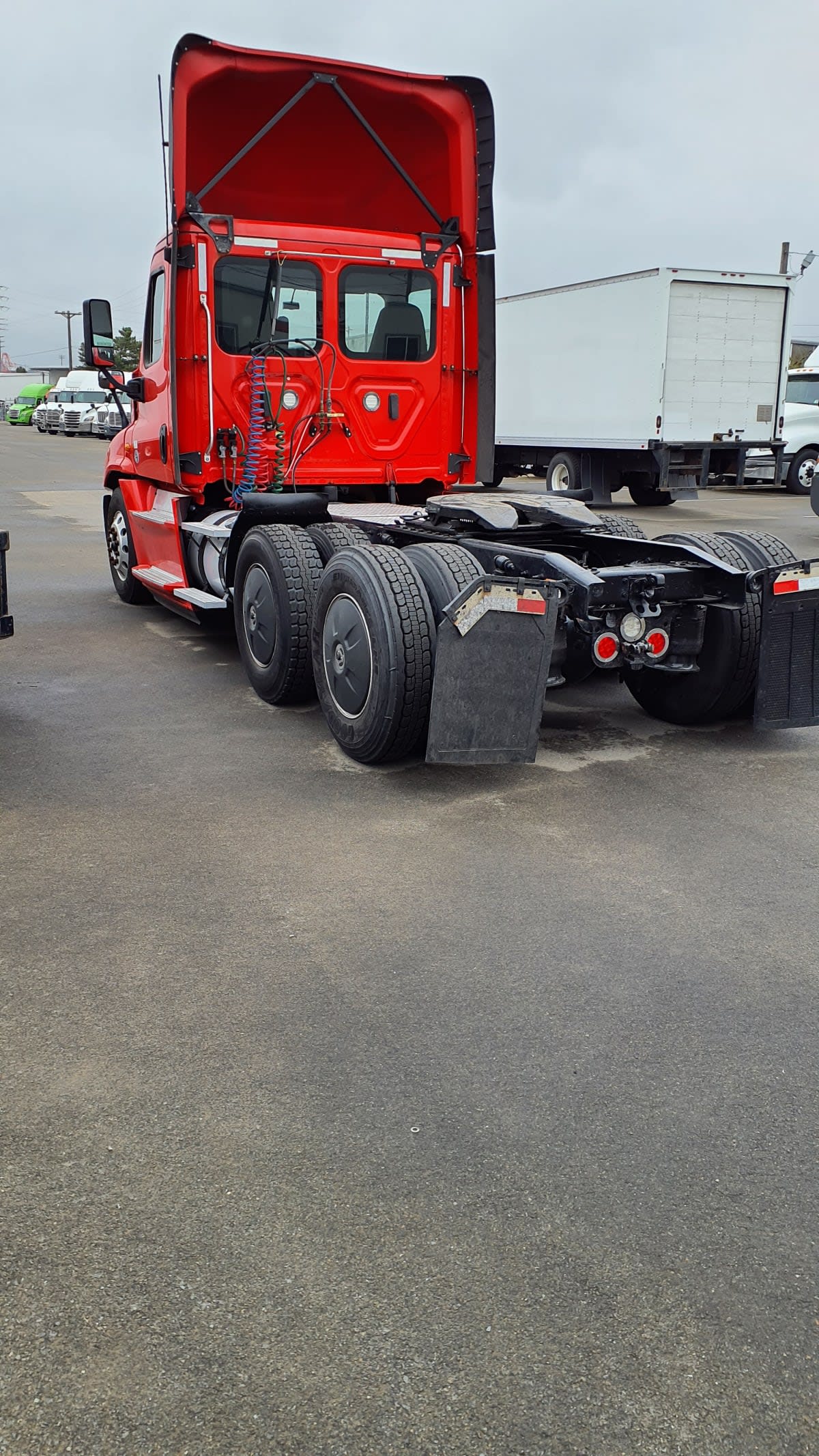 2019 Freightliner/Mercedes CASCADIA 125 809556