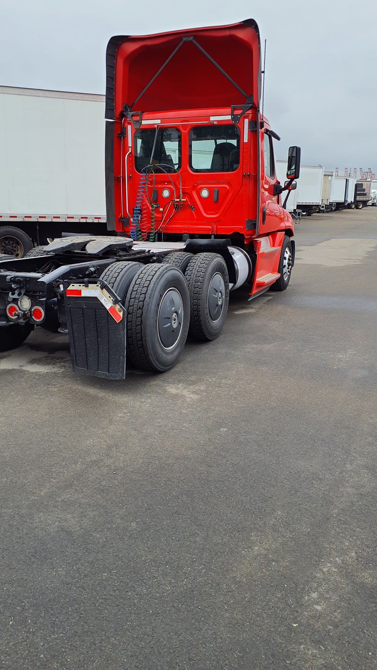 2019 Freightliner/Mercedes CASCADIA 125 809556