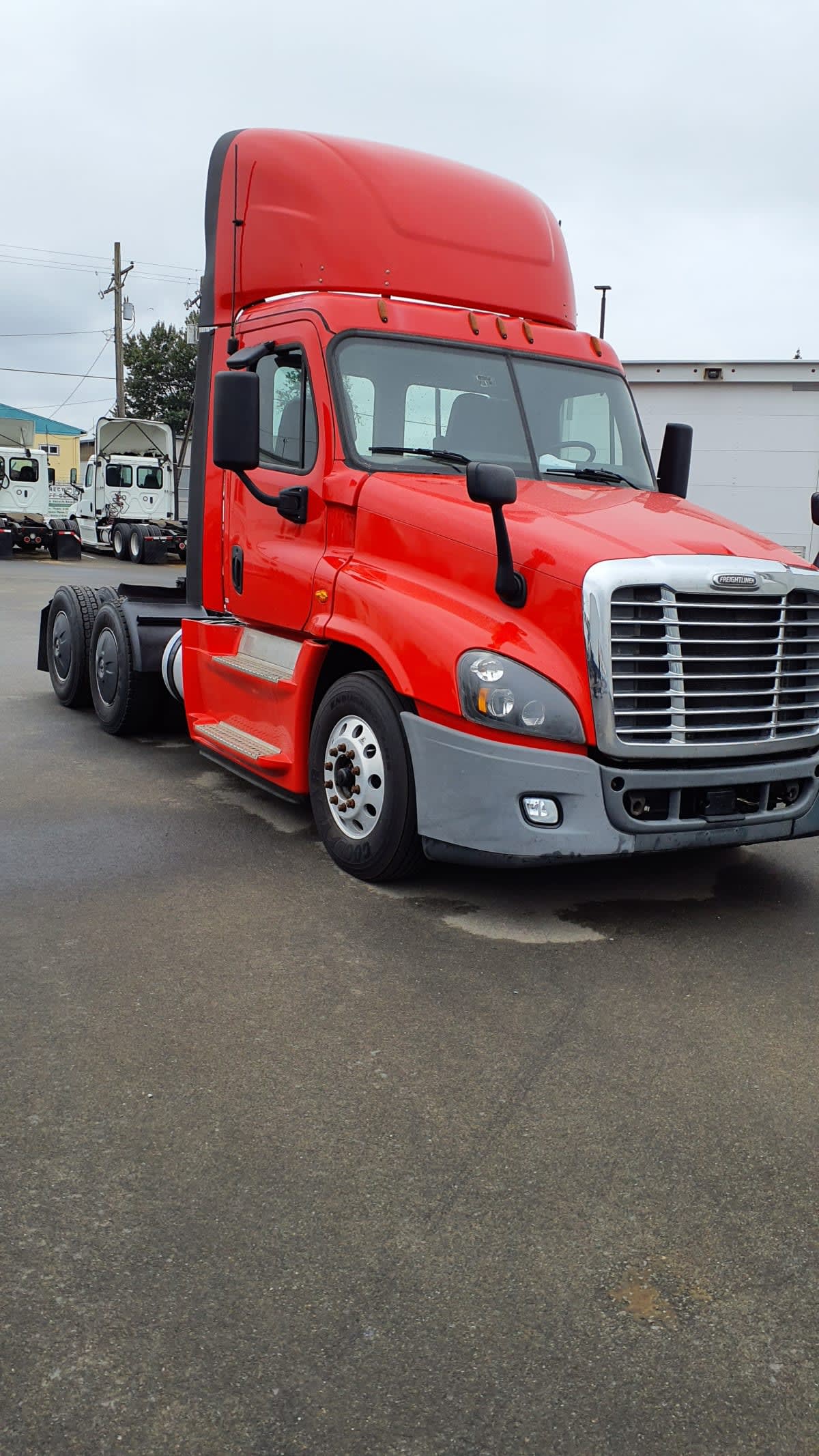 2019 Freightliner/Mercedes CASCADIA 125 809556
