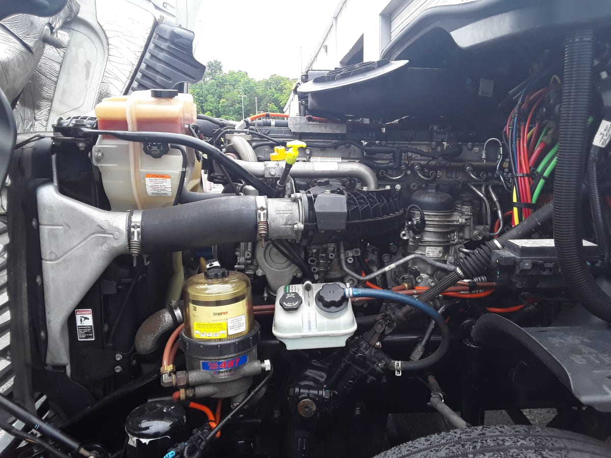 2019 Freightliner/Mercedes CASCADIA 125 809594