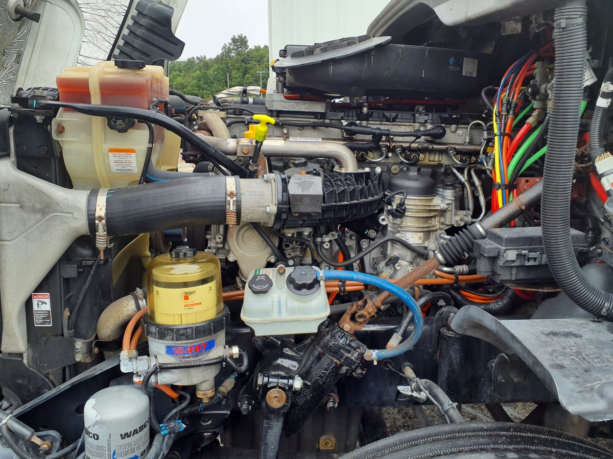 2019 Freightliner/Mercedes CASCADIA 125 809597