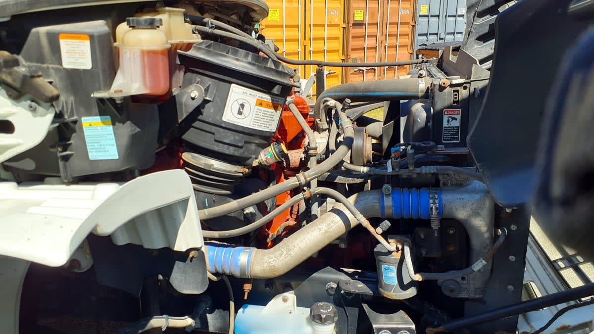 2019 Freightliner/Mercedes M2 106 809785