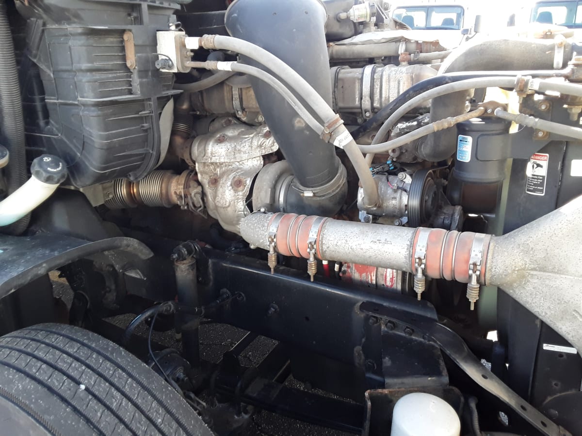 2019 Freightliner/Mercedes CASCADIA 125 809933