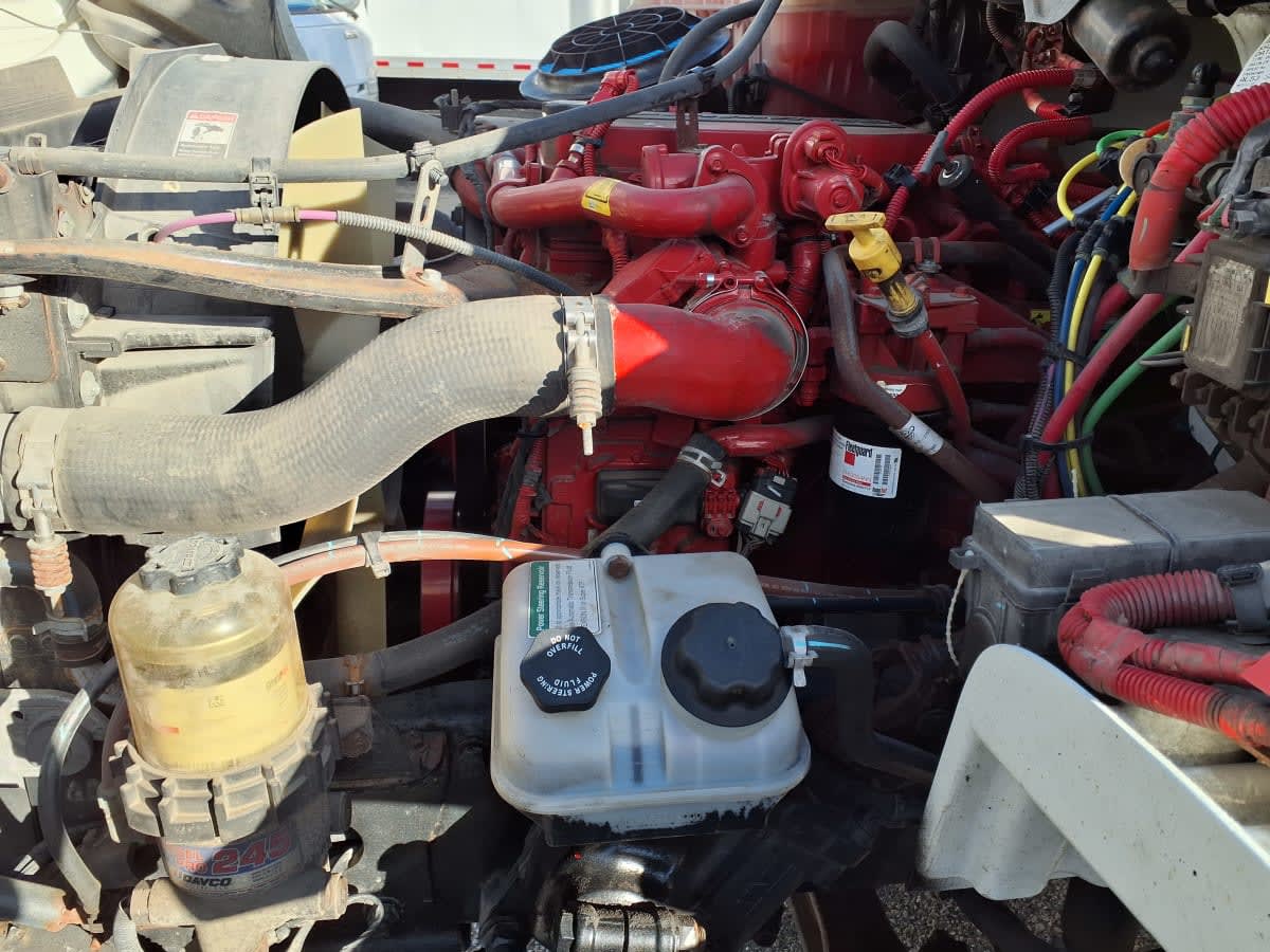 2019 Freightliner/Mercedes M2 106 809977