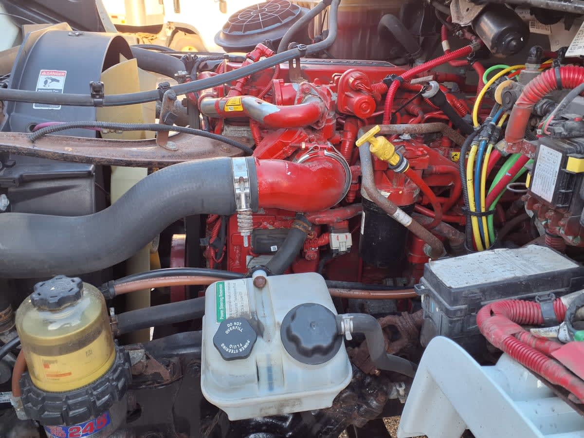 2019 Freightliner/Mercedes M2 106 809989