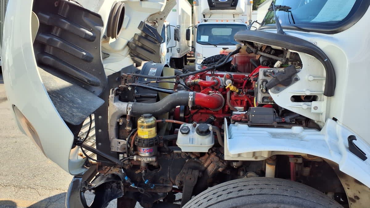 2019 Freightliner/Mercedes M2 106 810264