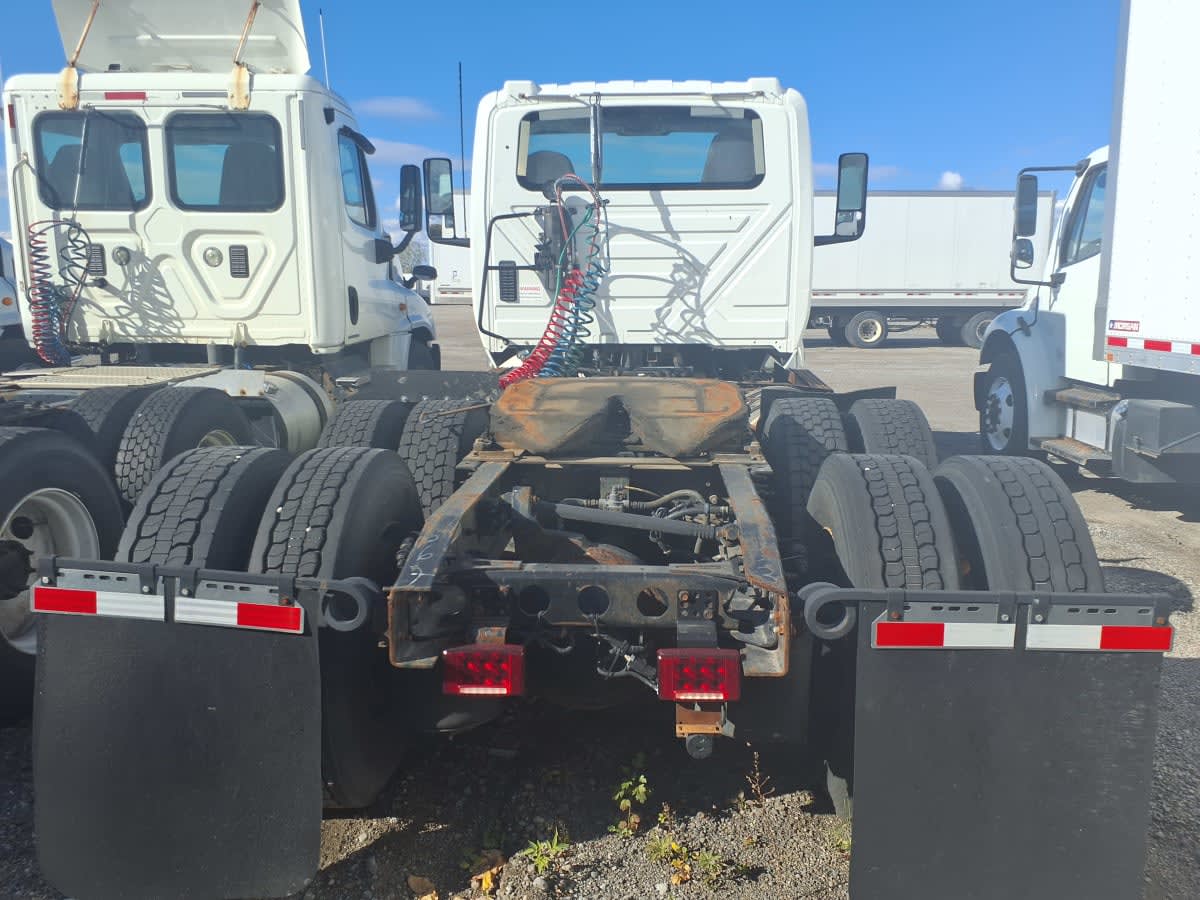 2019 International - image 5