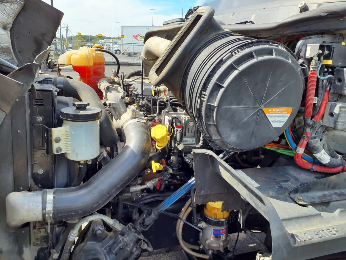 2019 International - image 8