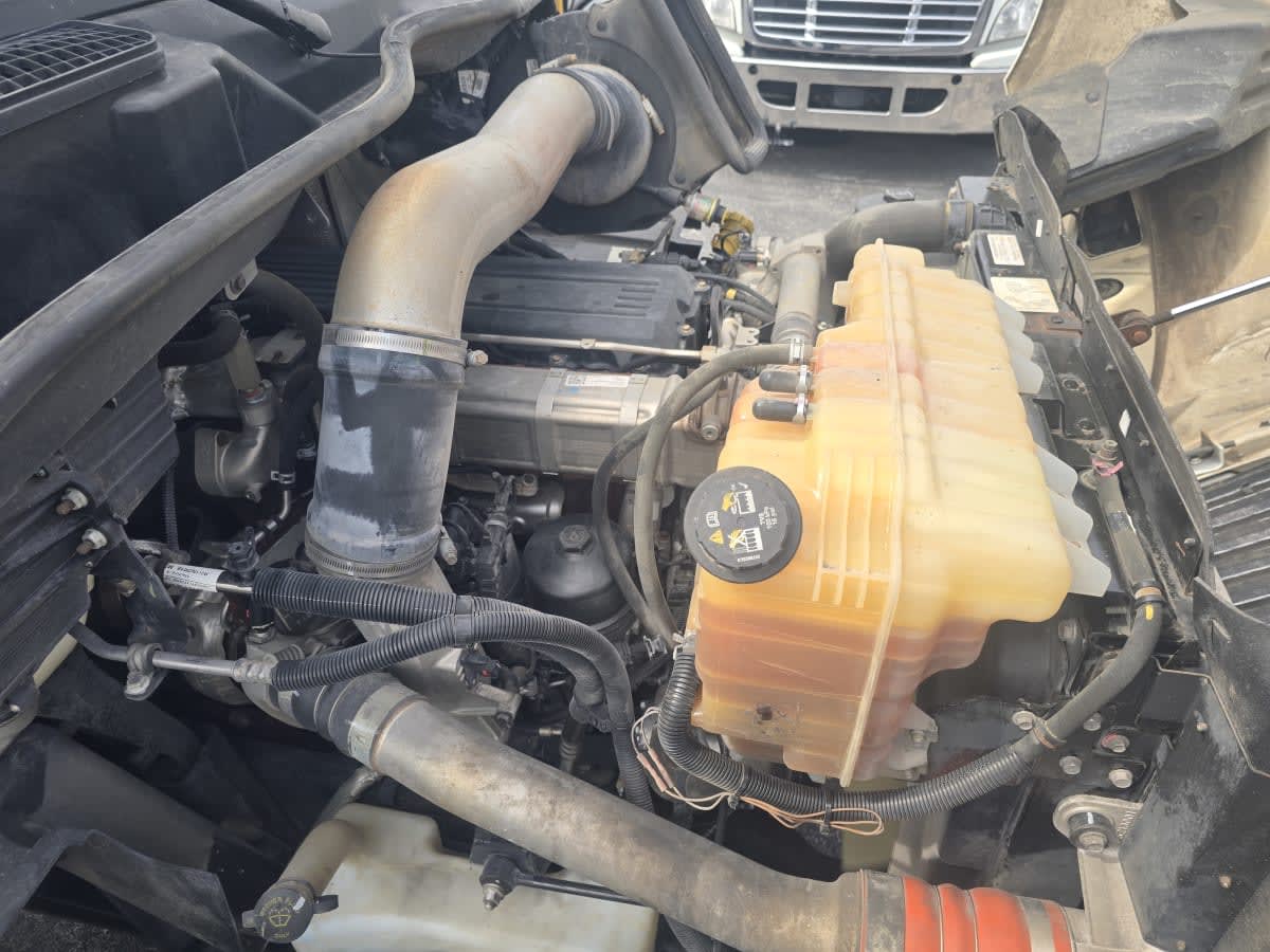 2019 International - image 8