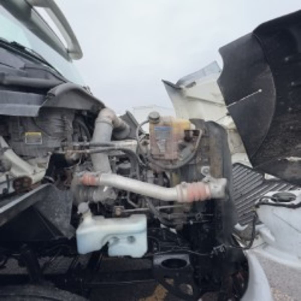 2019 International - image 8