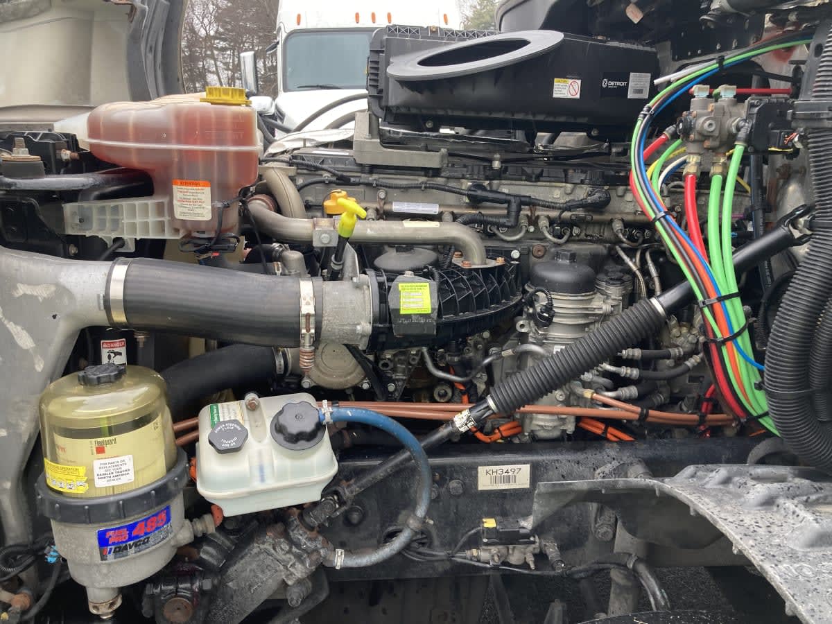 2019 Freightliner/Mercedes NEW CASCADIA PX12664 812894