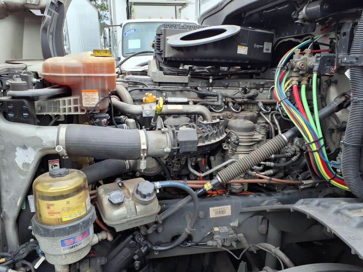 2019 Freightliner - image 8