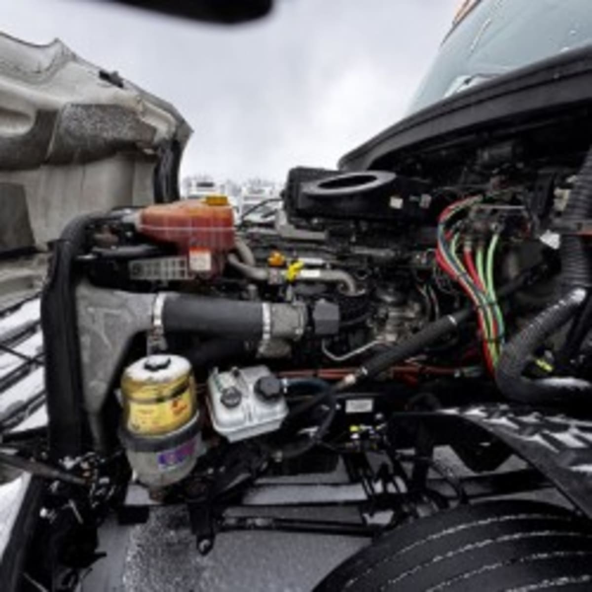 2019 Freightliner - image 8