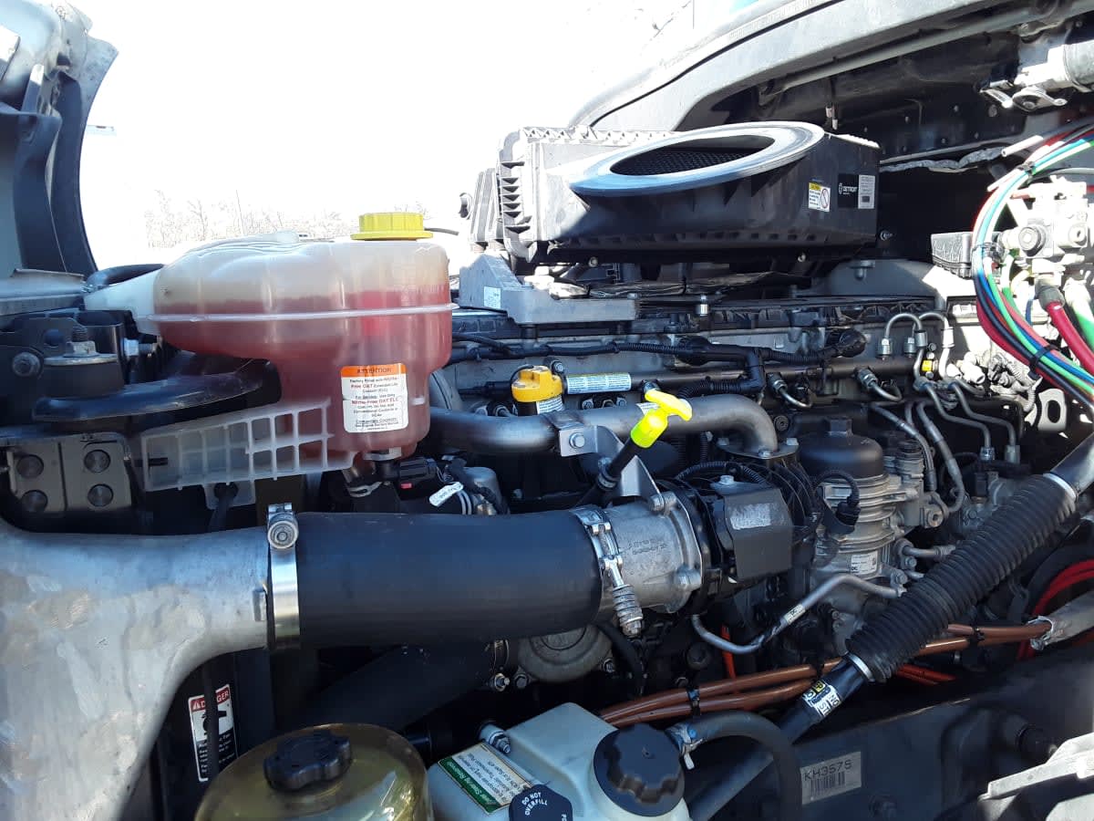 2019 Freightliner - image 5