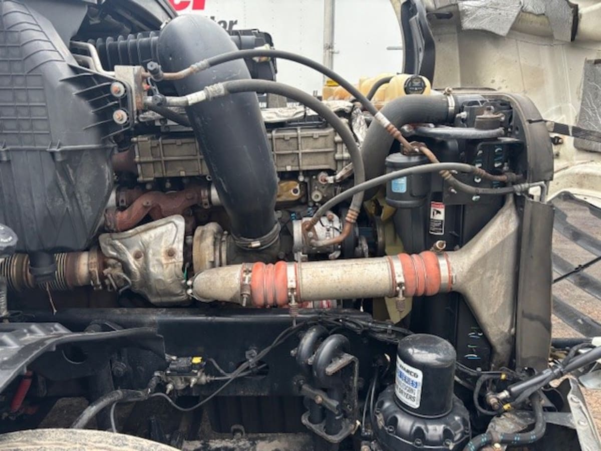 2019 Freightliner/Mercedes NEW CASCADIA PX12664 812993