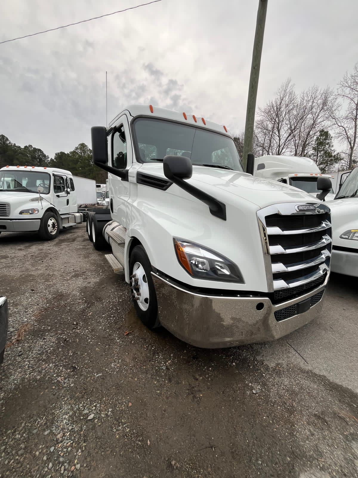 2019 Freightliner/Mercedes NEW CASCADIA PX12664 813019