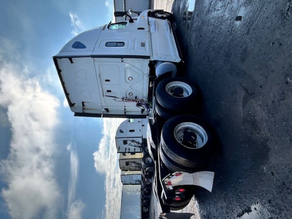 2019 Freightliner/Mercedes CASCADIA 125 813233