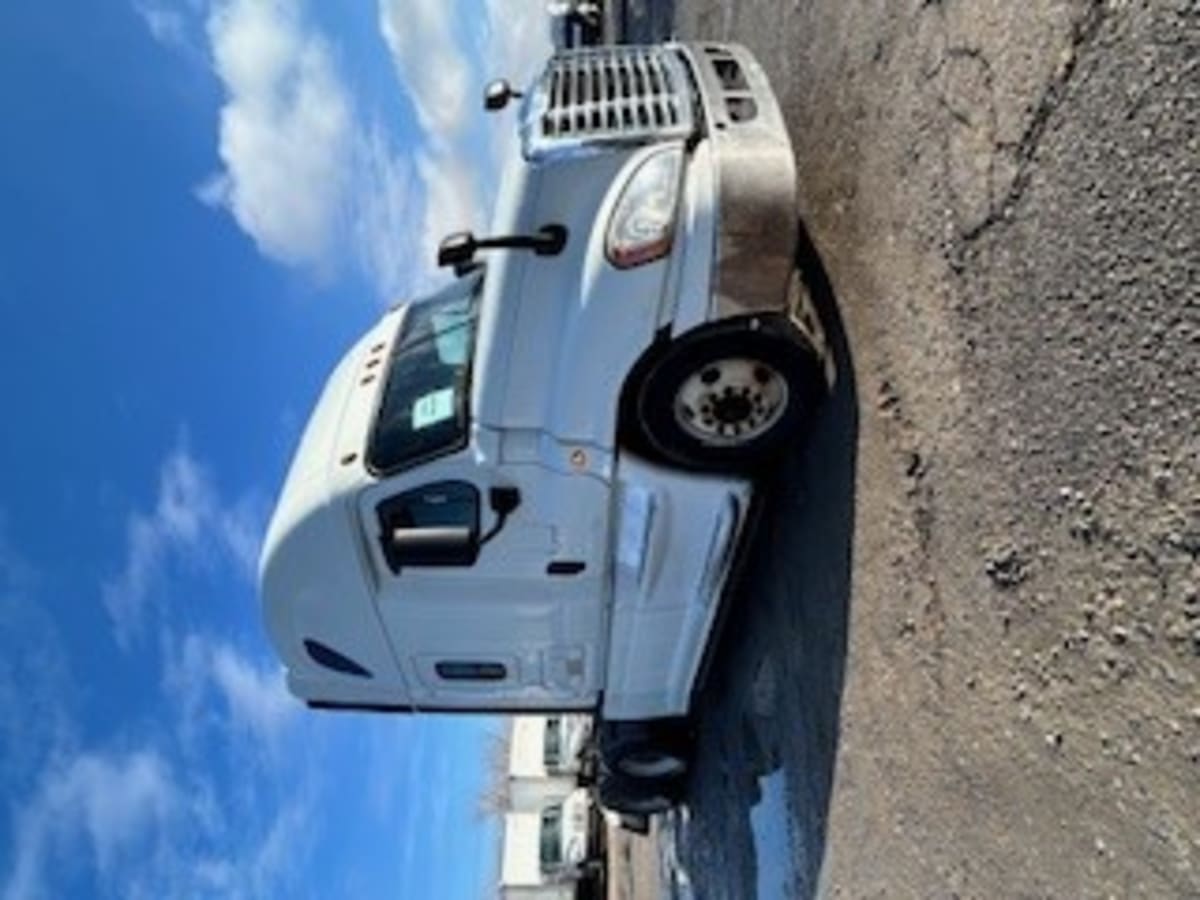 2019 Freightliner/Mercedes CASCADIA 125 813233