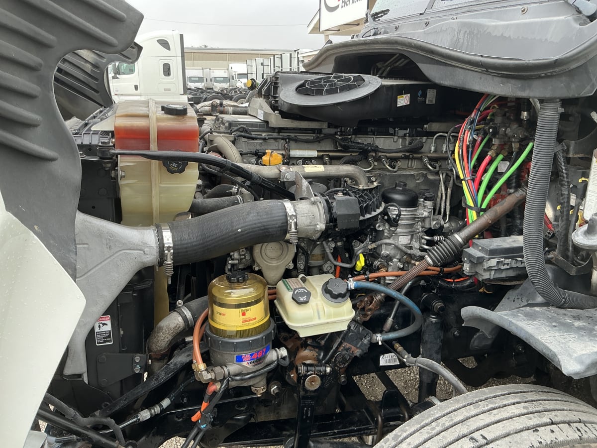 2019 Freightliner/Mercedes CASCADIA 125 813247