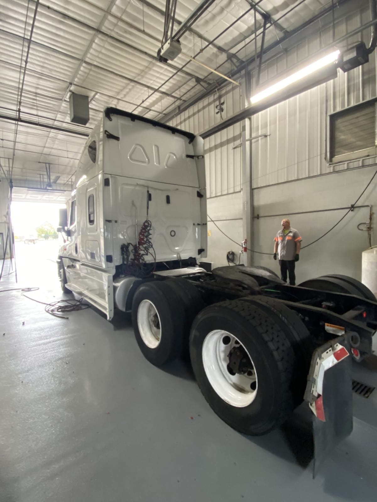 2019 Freightliner - image 6