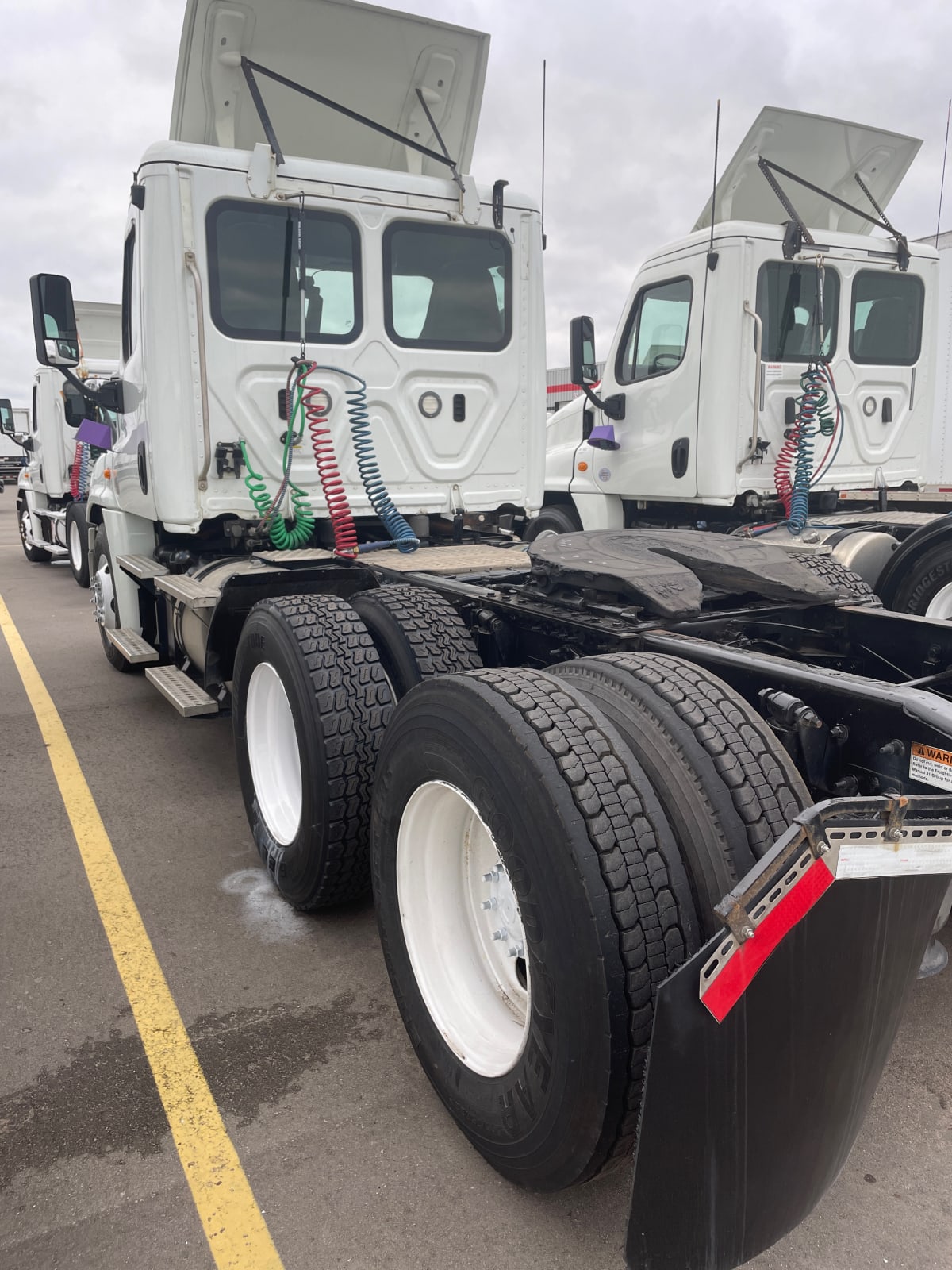 2019 Freightliner/Mercedes CASCADIA 125 813341